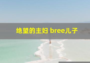 绝望的主妇 bree儿子